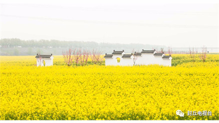 封丘：鄉趣花海野餐季，不負春風不負卿！