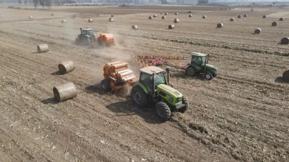 封丘：秸稈離田回收 綠色循環發展